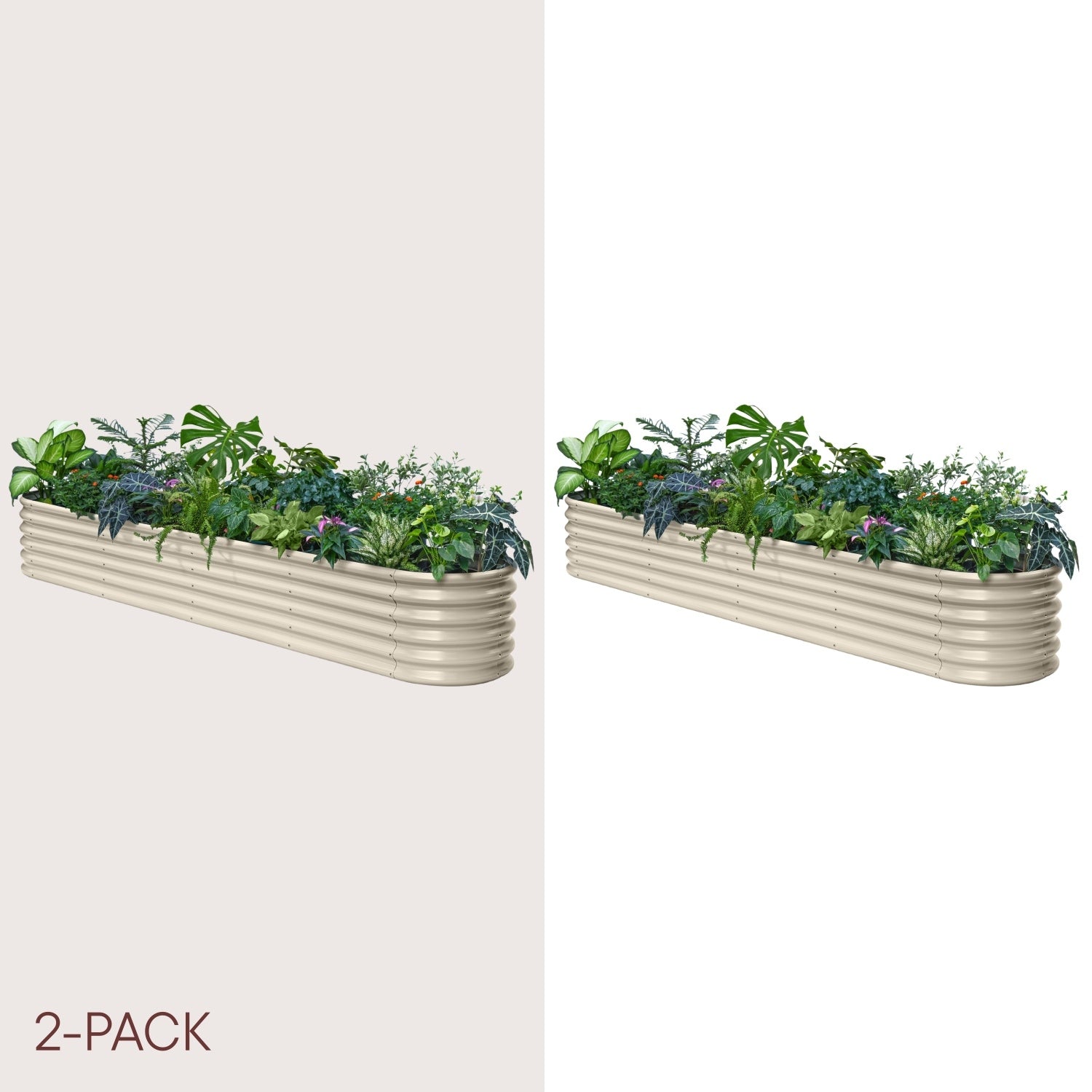 Two metal planters with green plants on a white background