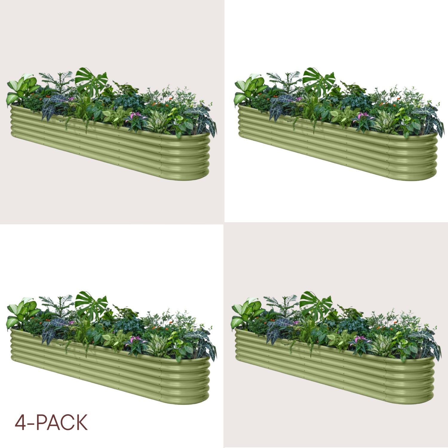 Four green metal planters with plants on a beige background