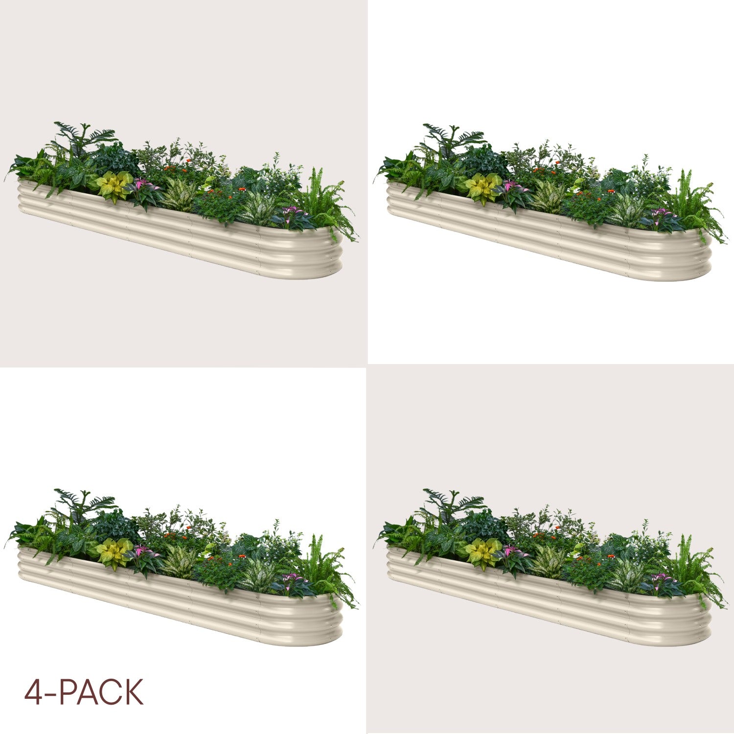 Four metal planters with plants on a white background