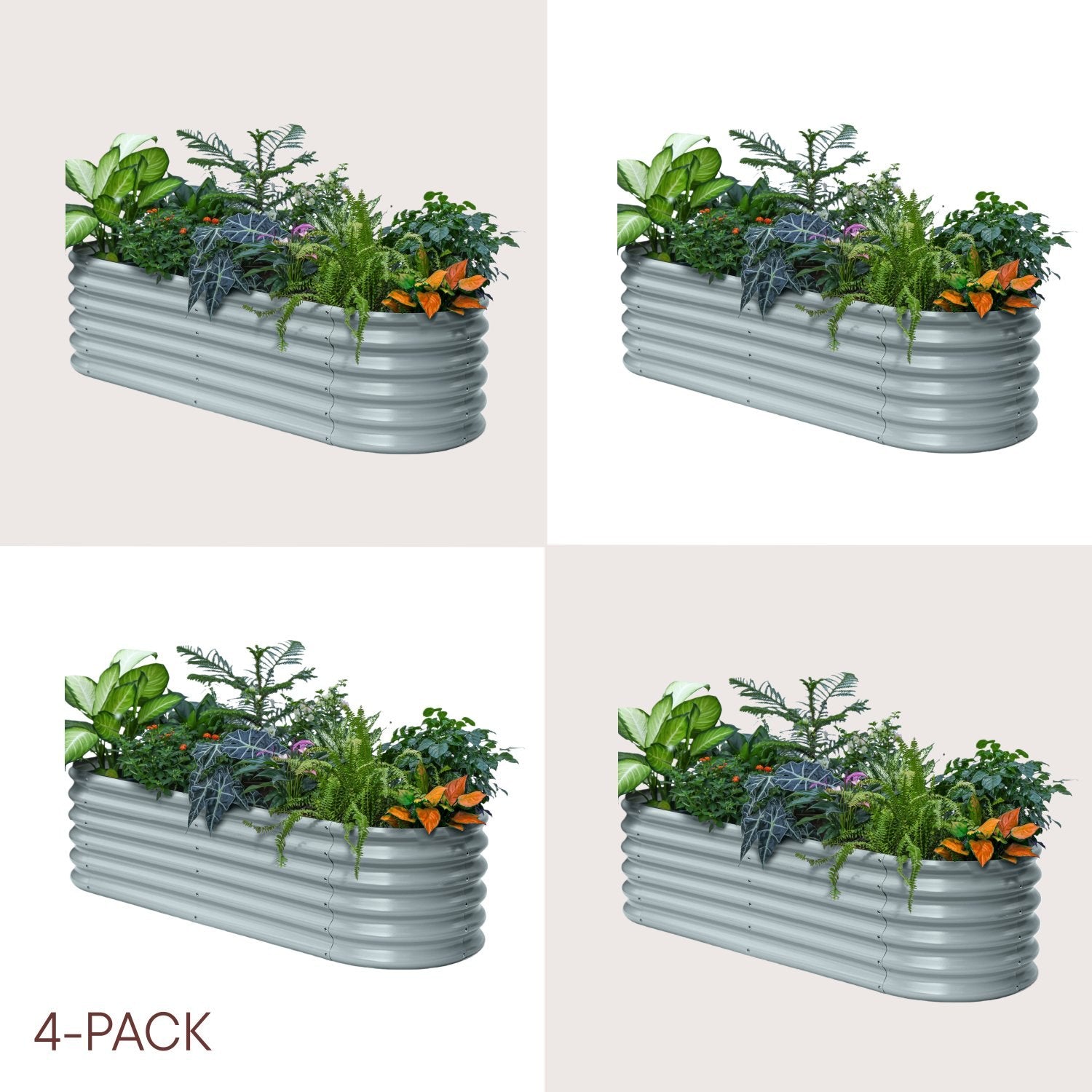 Four identical images of a metal raised garden bed with plants on a beige background.