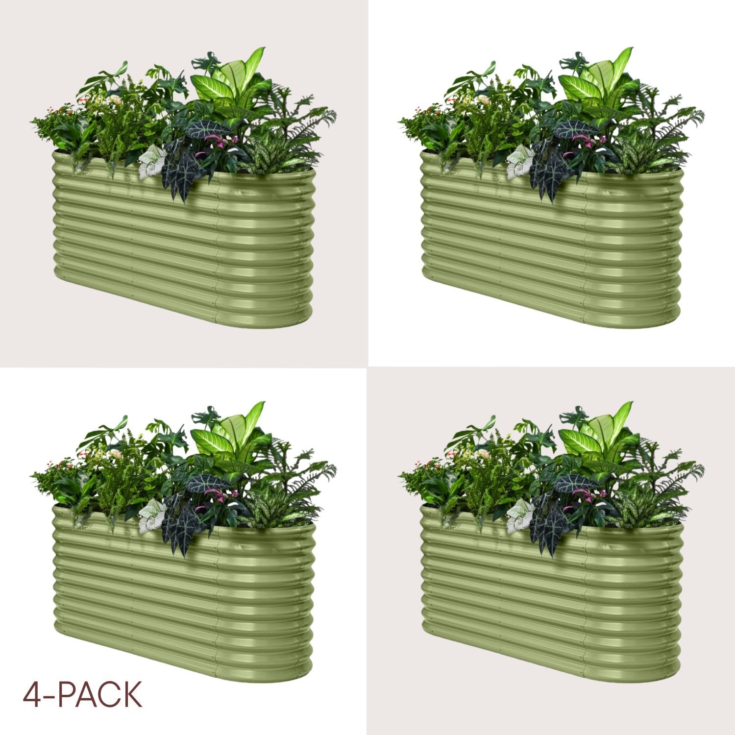 Four green rectangular planters with plants on a beige background, labeled '4-Pack'.
