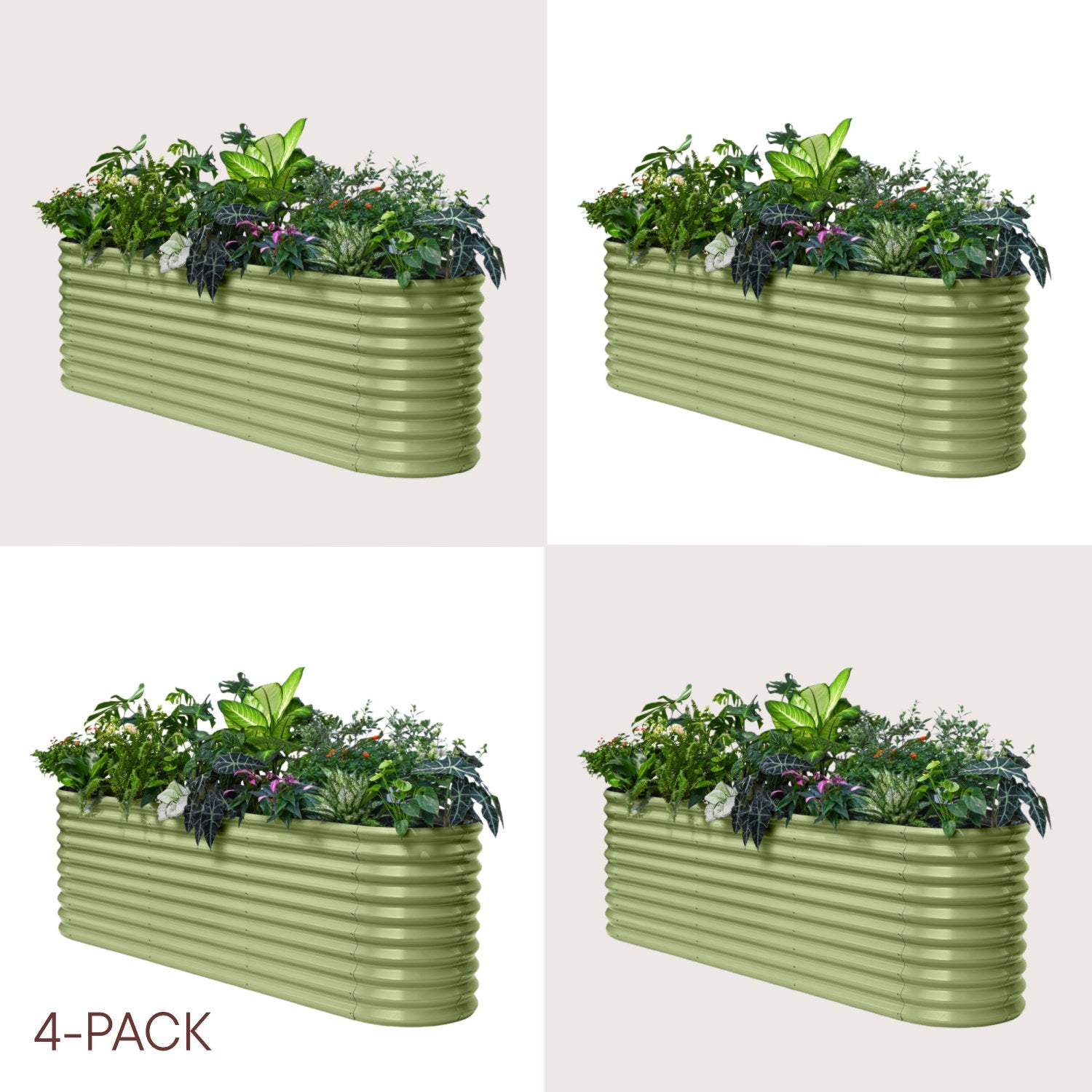 Four green metal planters with plants on a light beige background