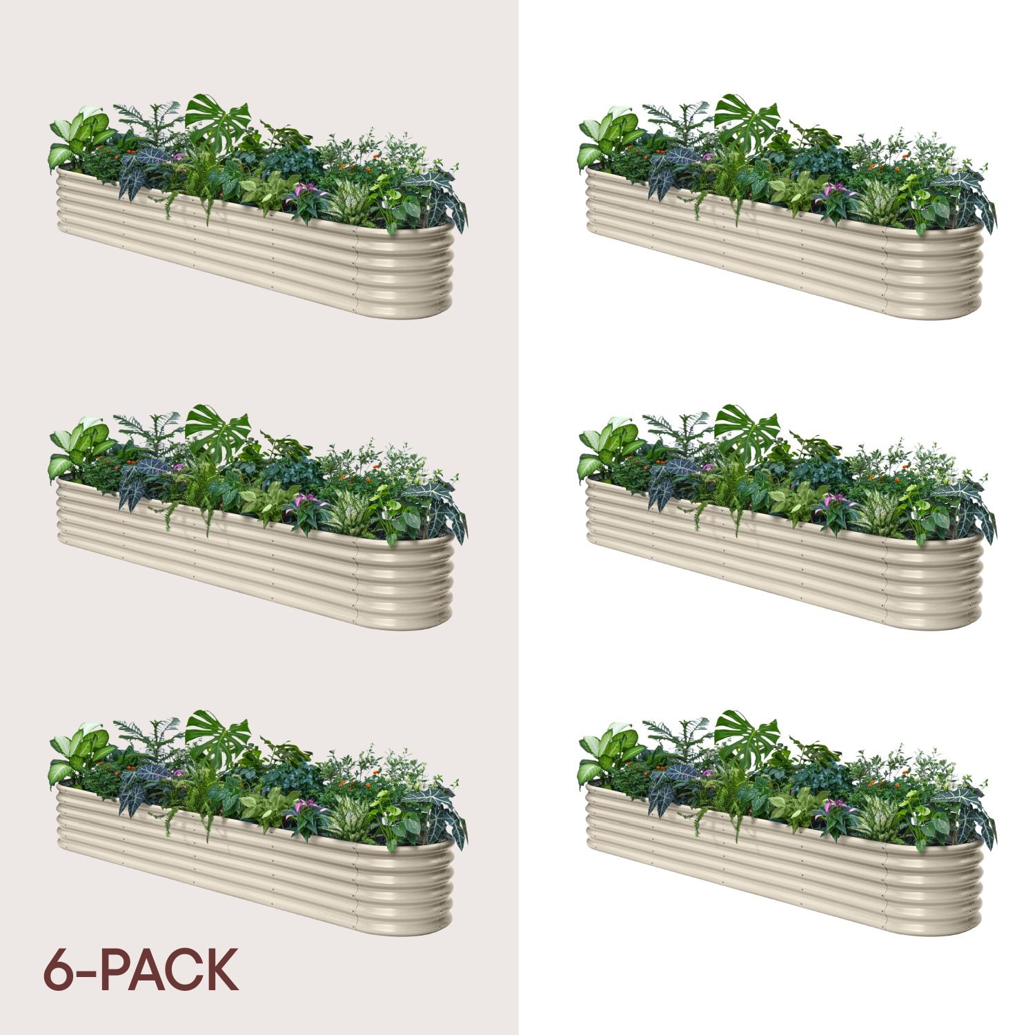 Set of six rectangular metal planters with plants on a white background, labeled '6-Pack'.