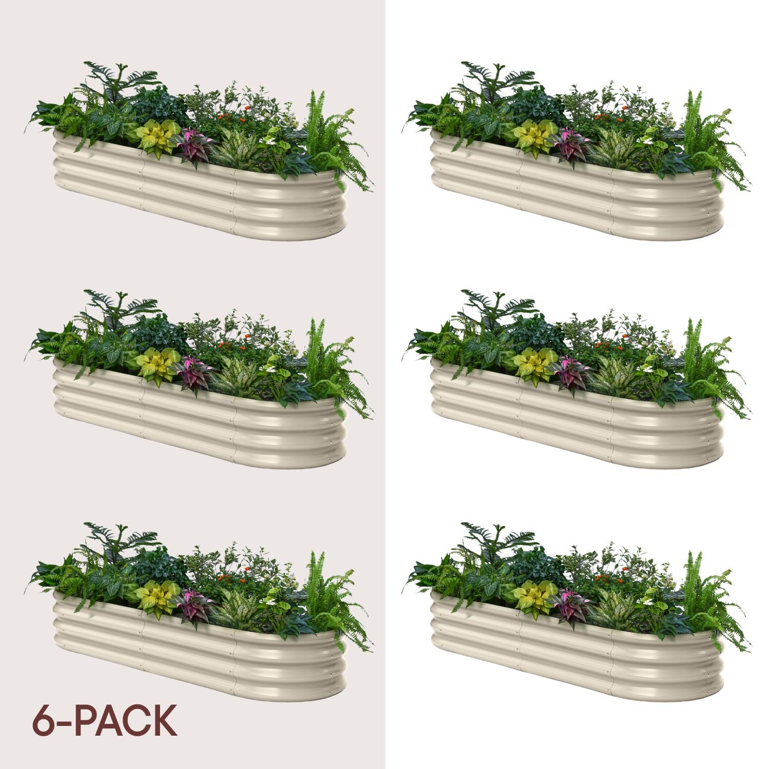 6-pack 12" Tall 6x2x1 ft Raised Garden Bed Kits