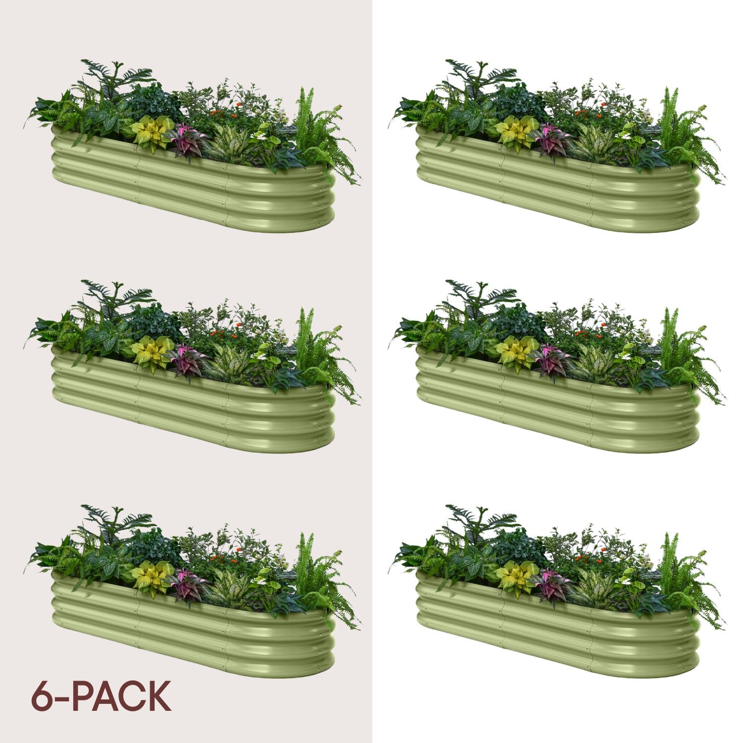 6-pack 12" Tall 6x2x1 ft Raised Garden Bed Kits