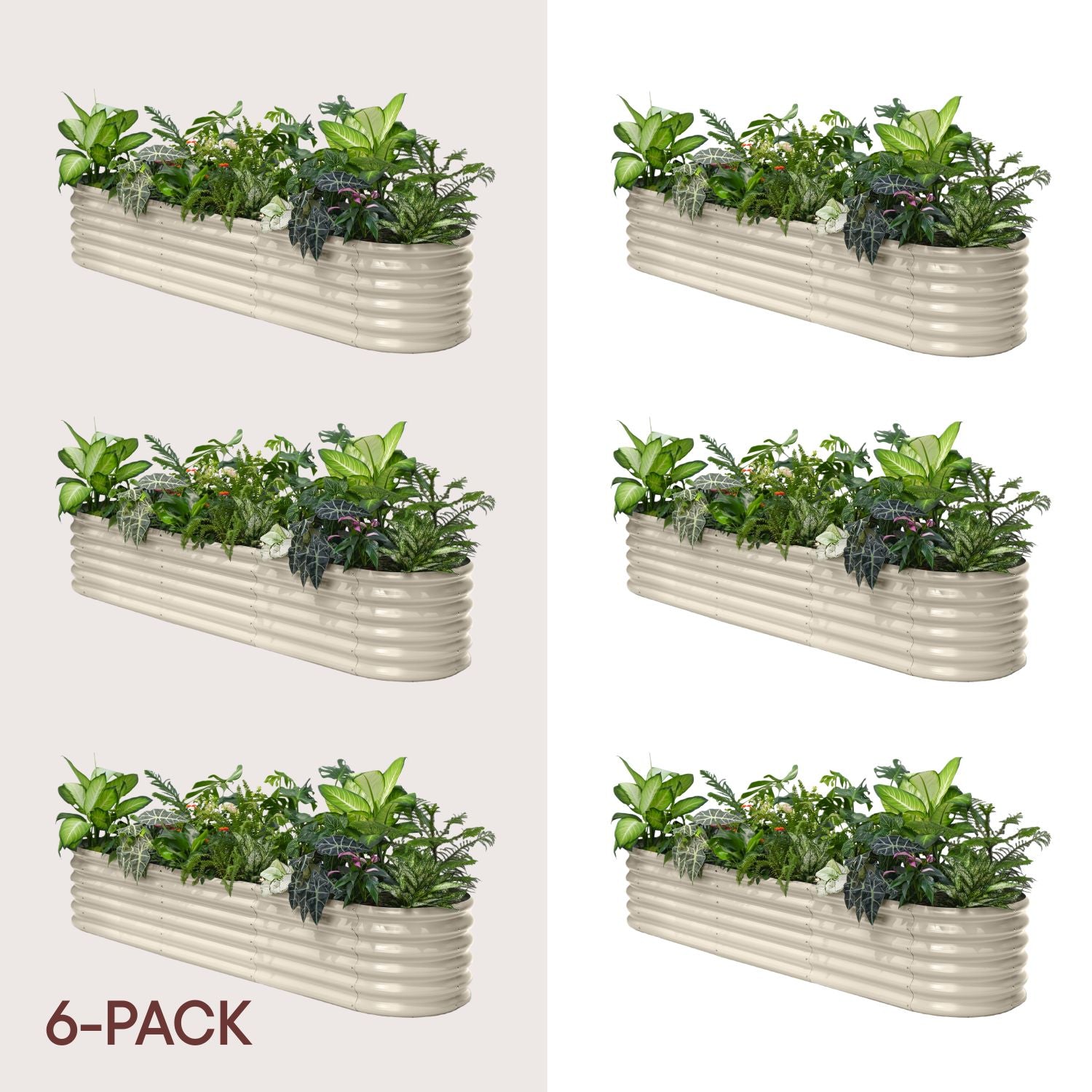 Set of six rectangular metal planters with plants on a white background