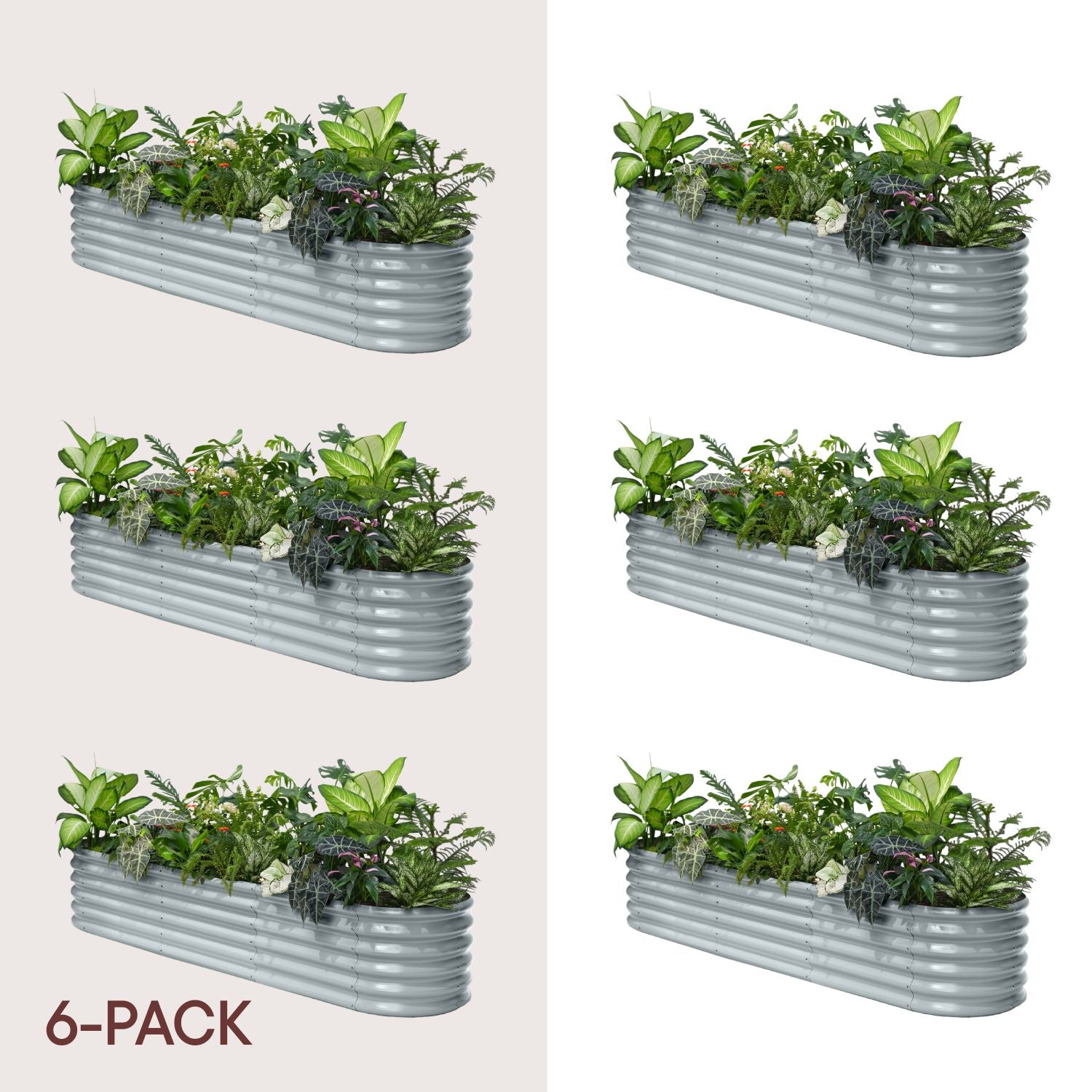 Set of six metal planters with green plants on a white background