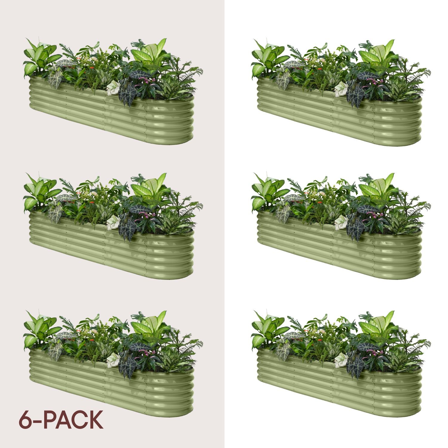 6-pack 18" Tall 8x2x1.5 ft Raised Garden Bed Kits