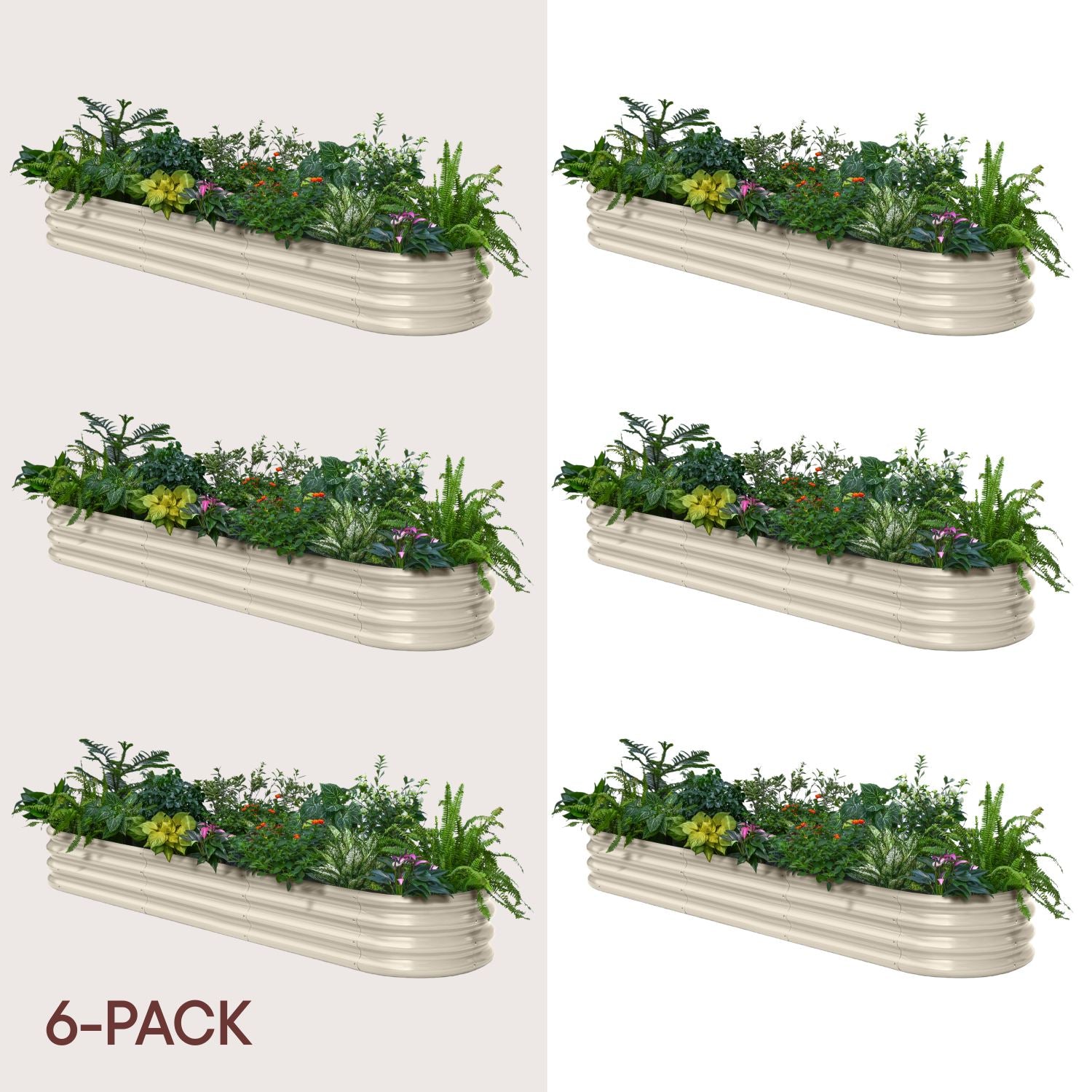 Set of six metal planters with plants on a white background