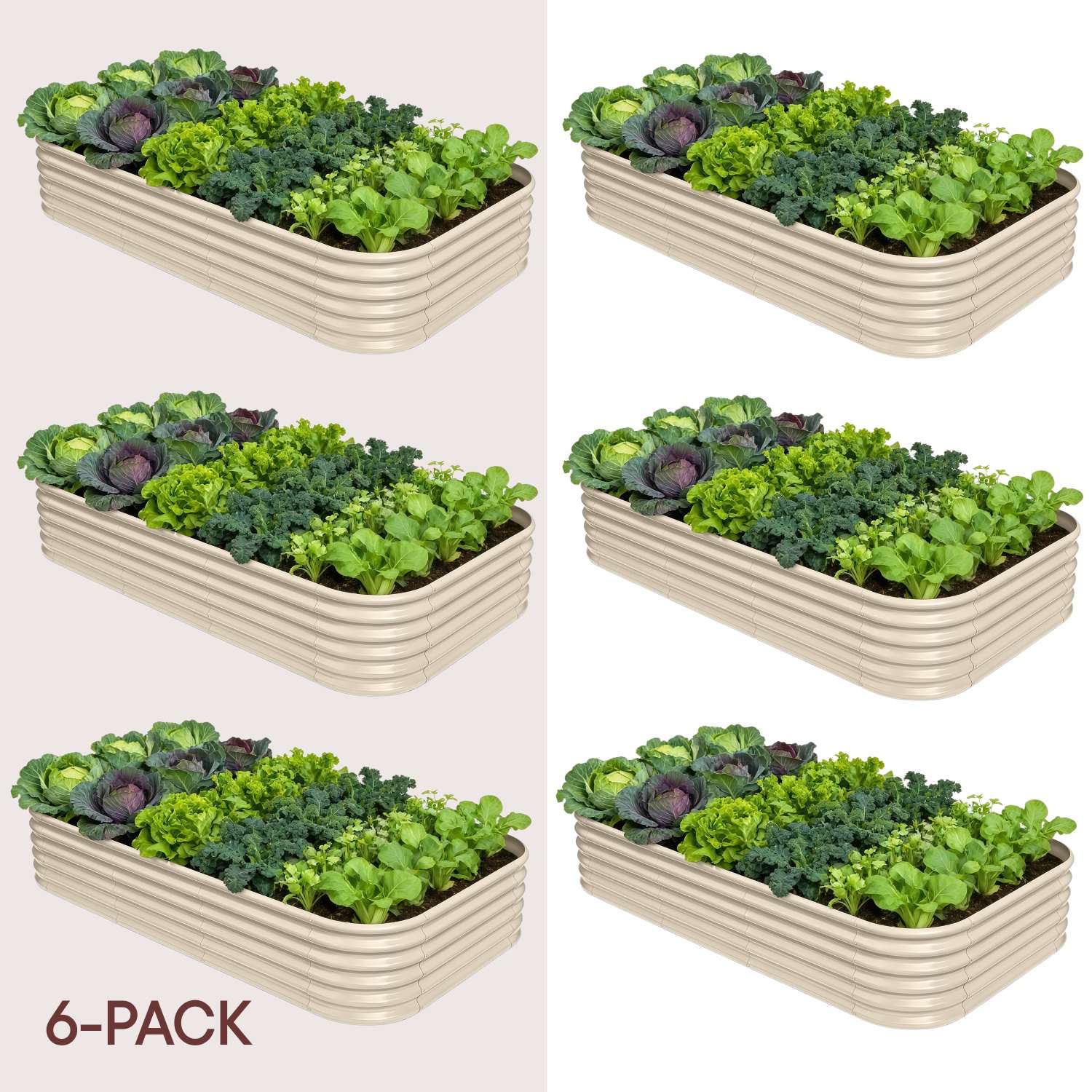 6-pack 18" Tall 8x4x1.5 ft Metal Raised Garden Beds