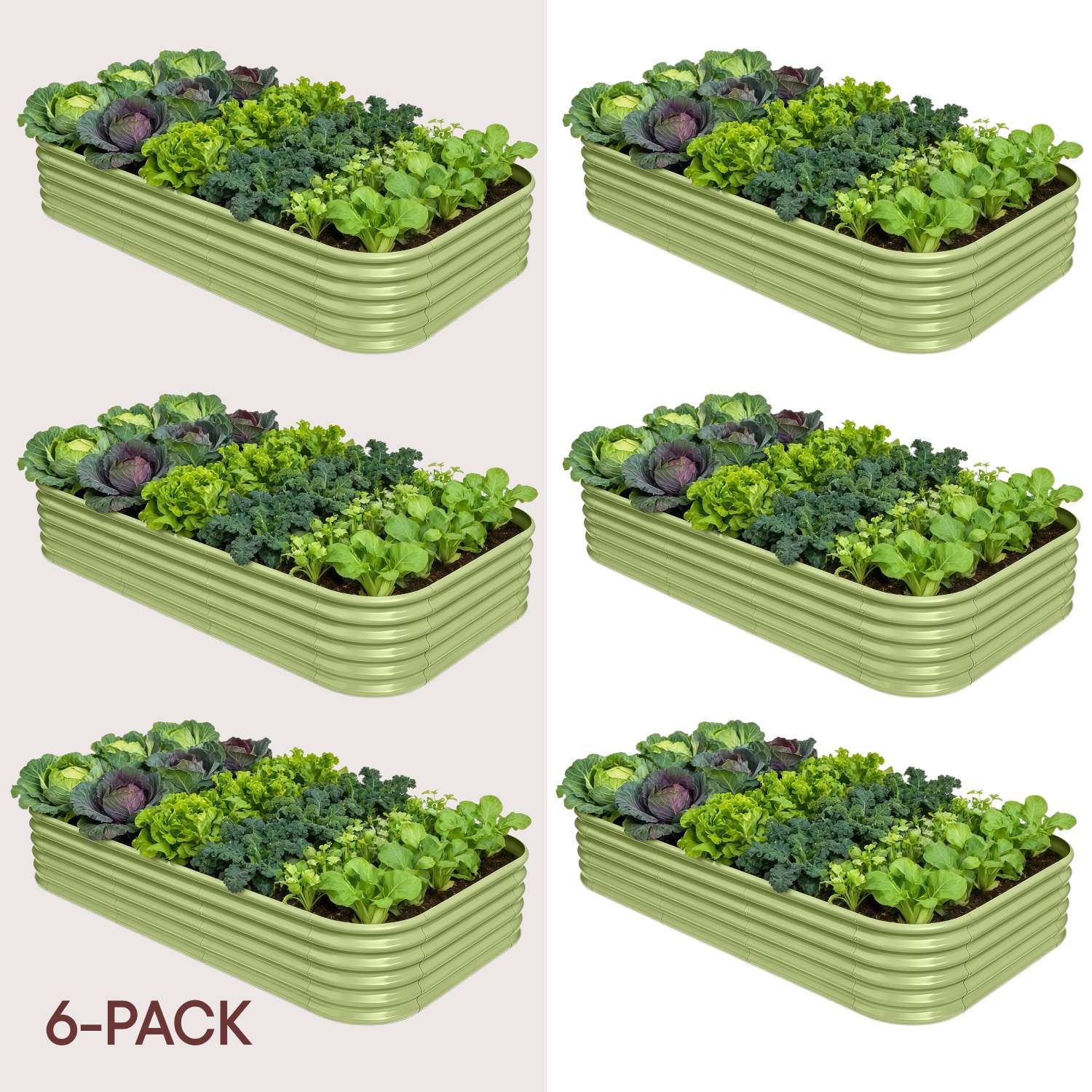 6-pack 18" Tall 8x4x1.5 ft Metal Raised Garden Beds