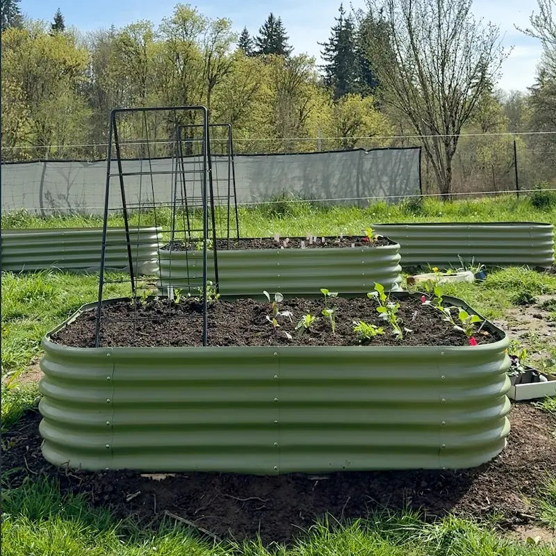 6-pack 18" Tall 6x4x1.5 ft Metal Raised Garden Beds