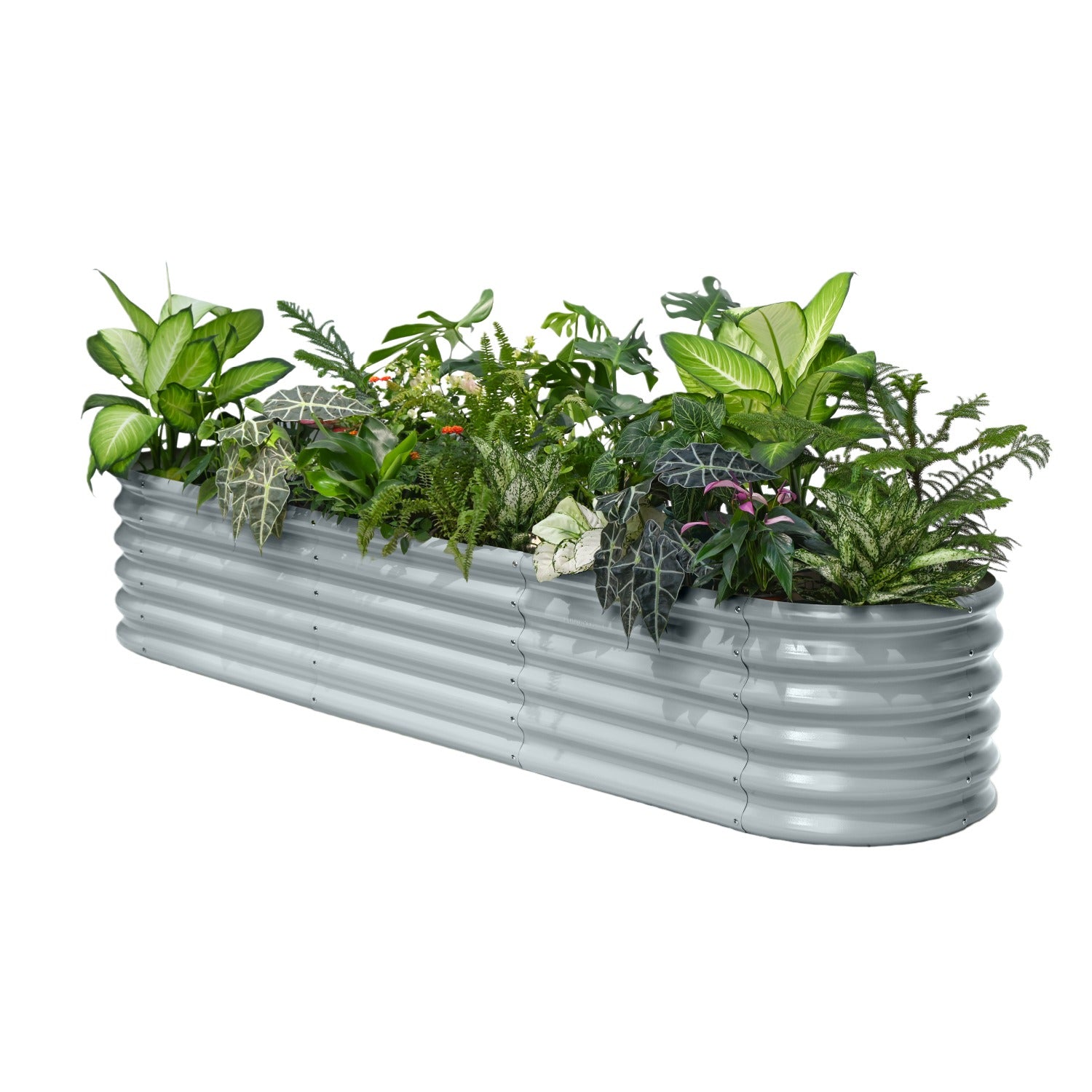 Metal planter box with assorted plants on a white background
