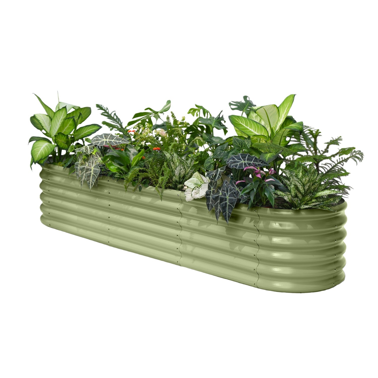 Green metal planter with assorted plants on a white background