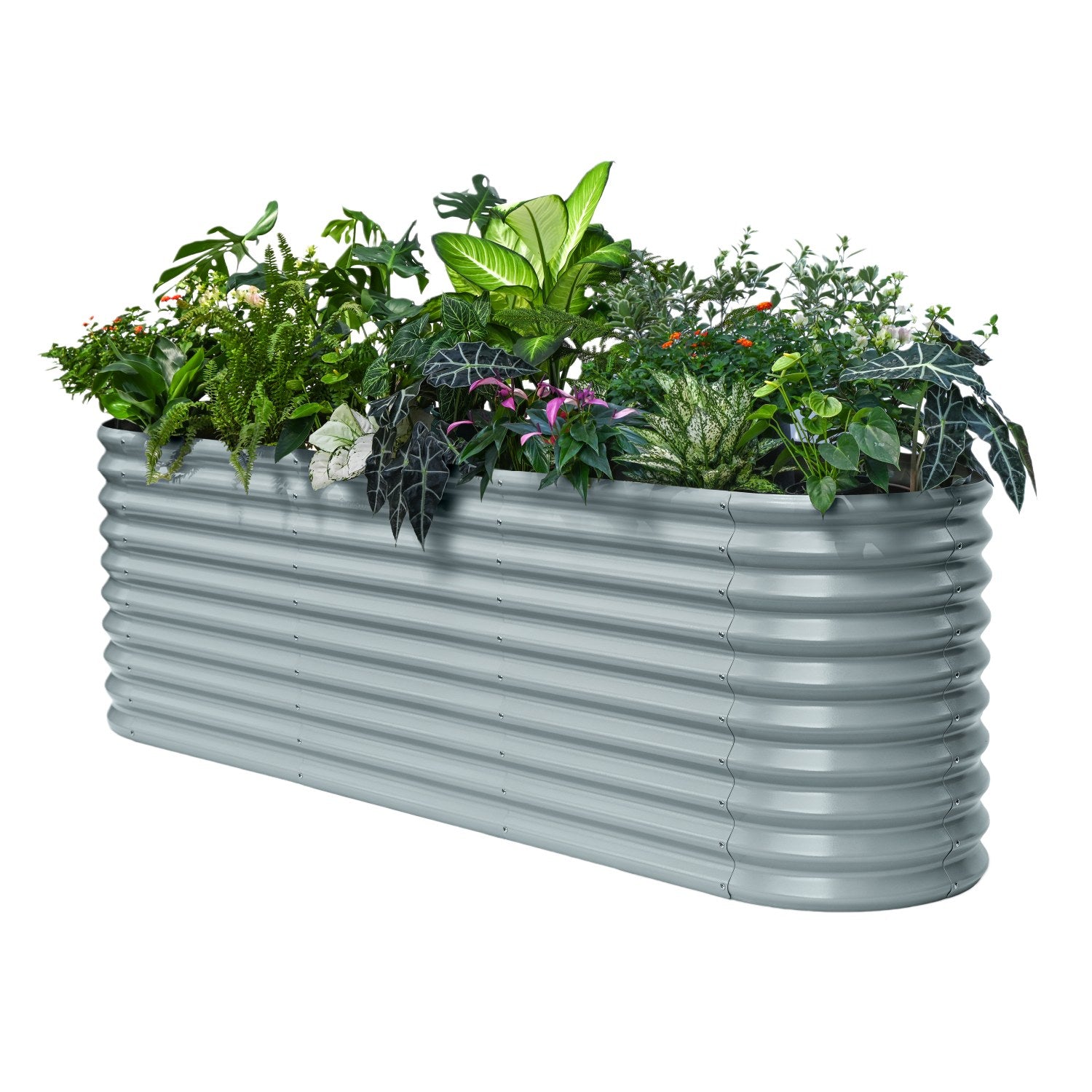 Metal planter box with green plants on a white background