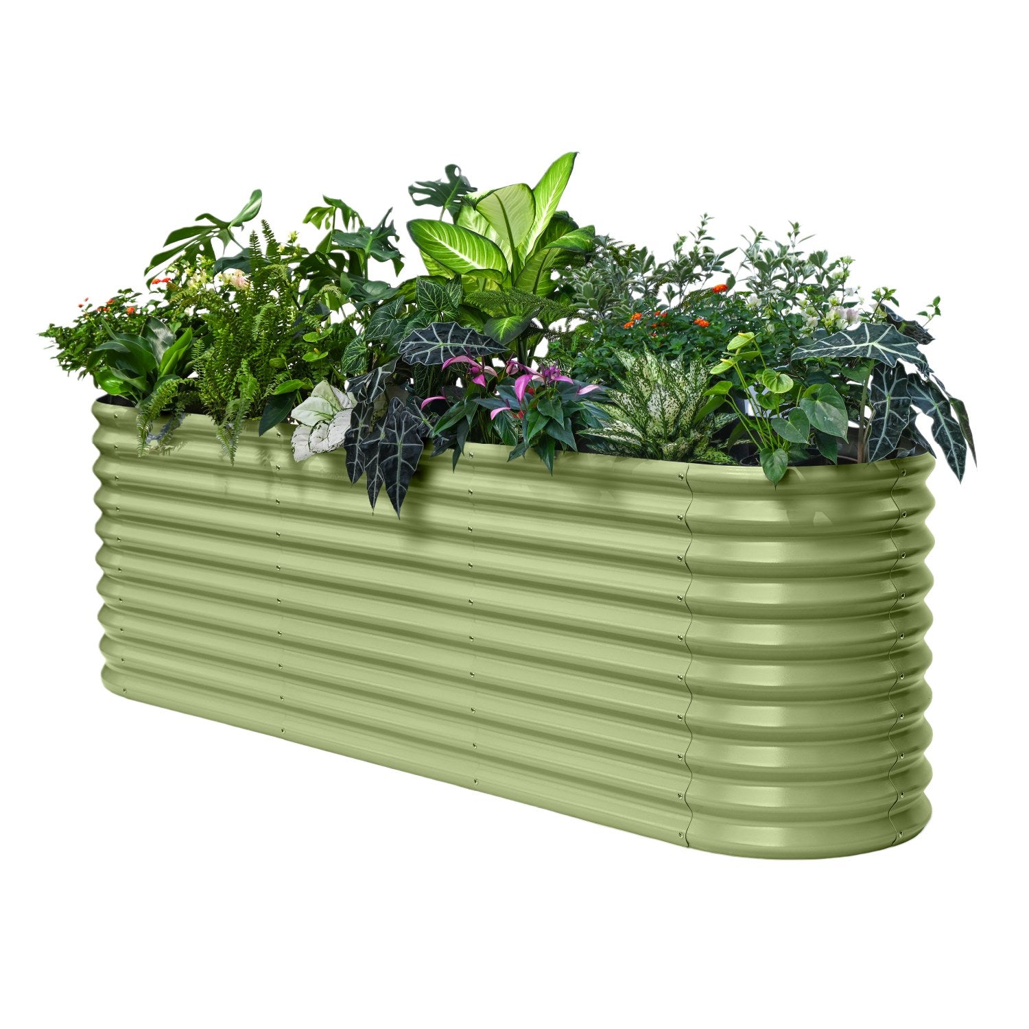 Green metal planter with assorted plants on a white background