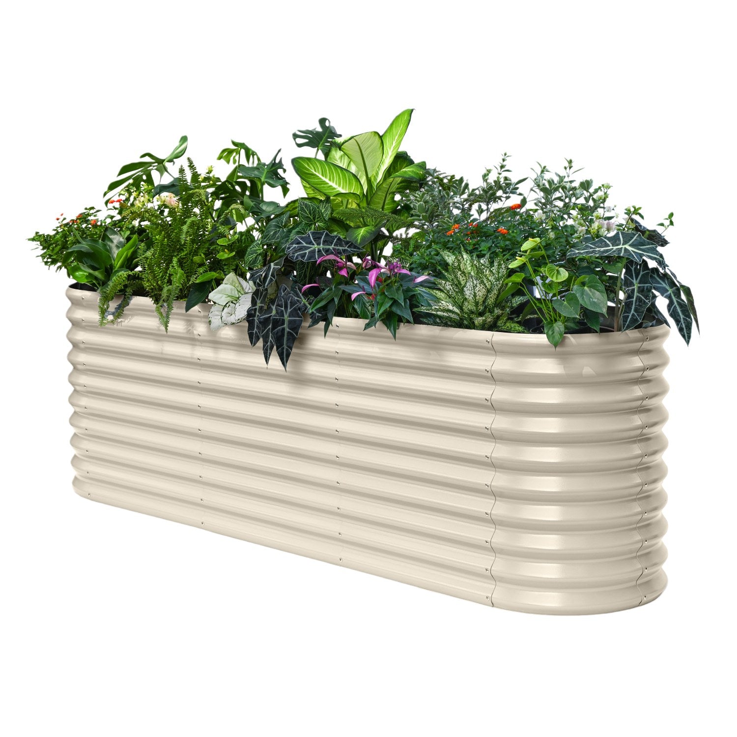 Rectangular metal planter with green plants on a white background