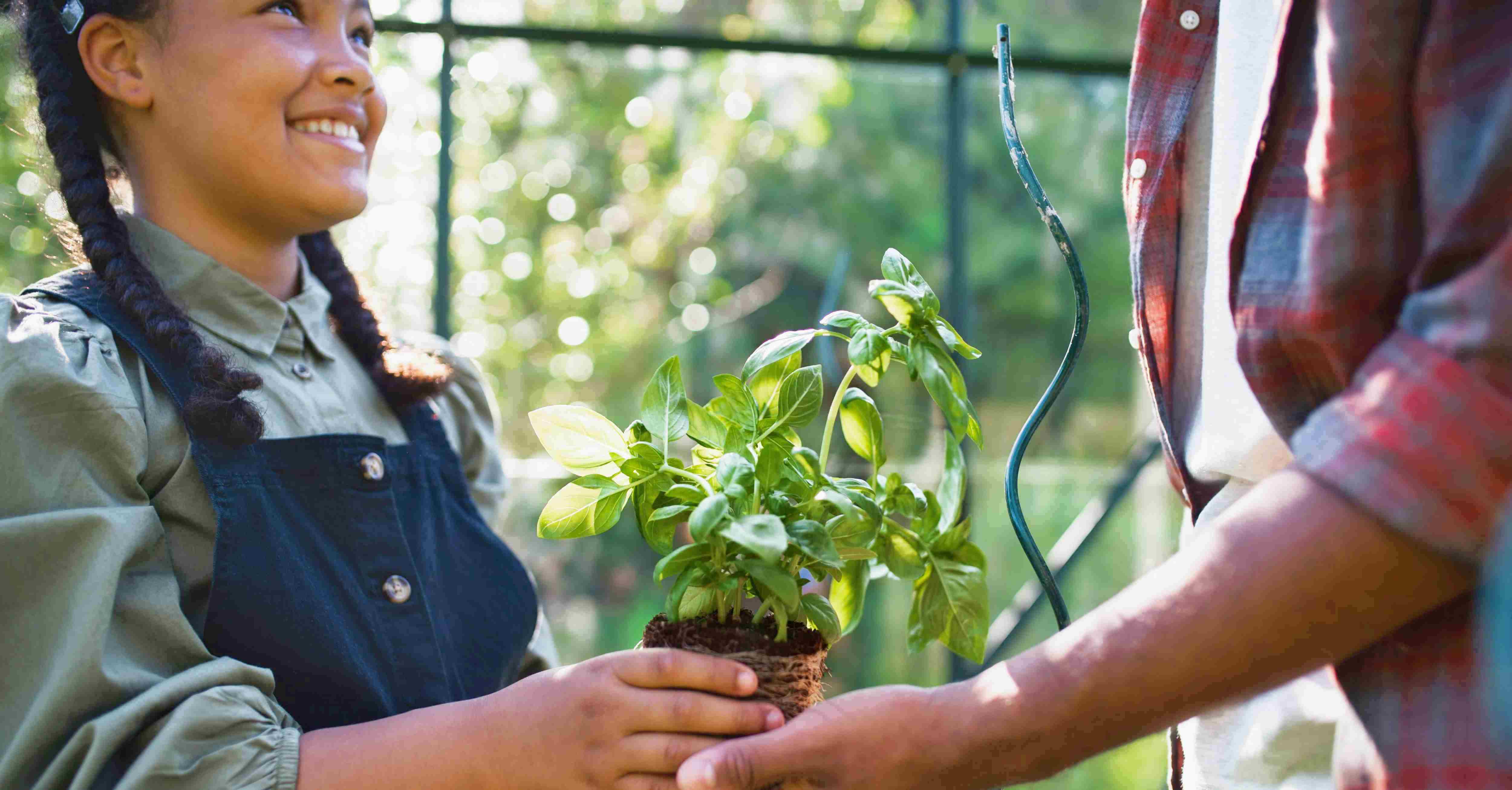 Person holding a small plant with another person in an outdoor setting