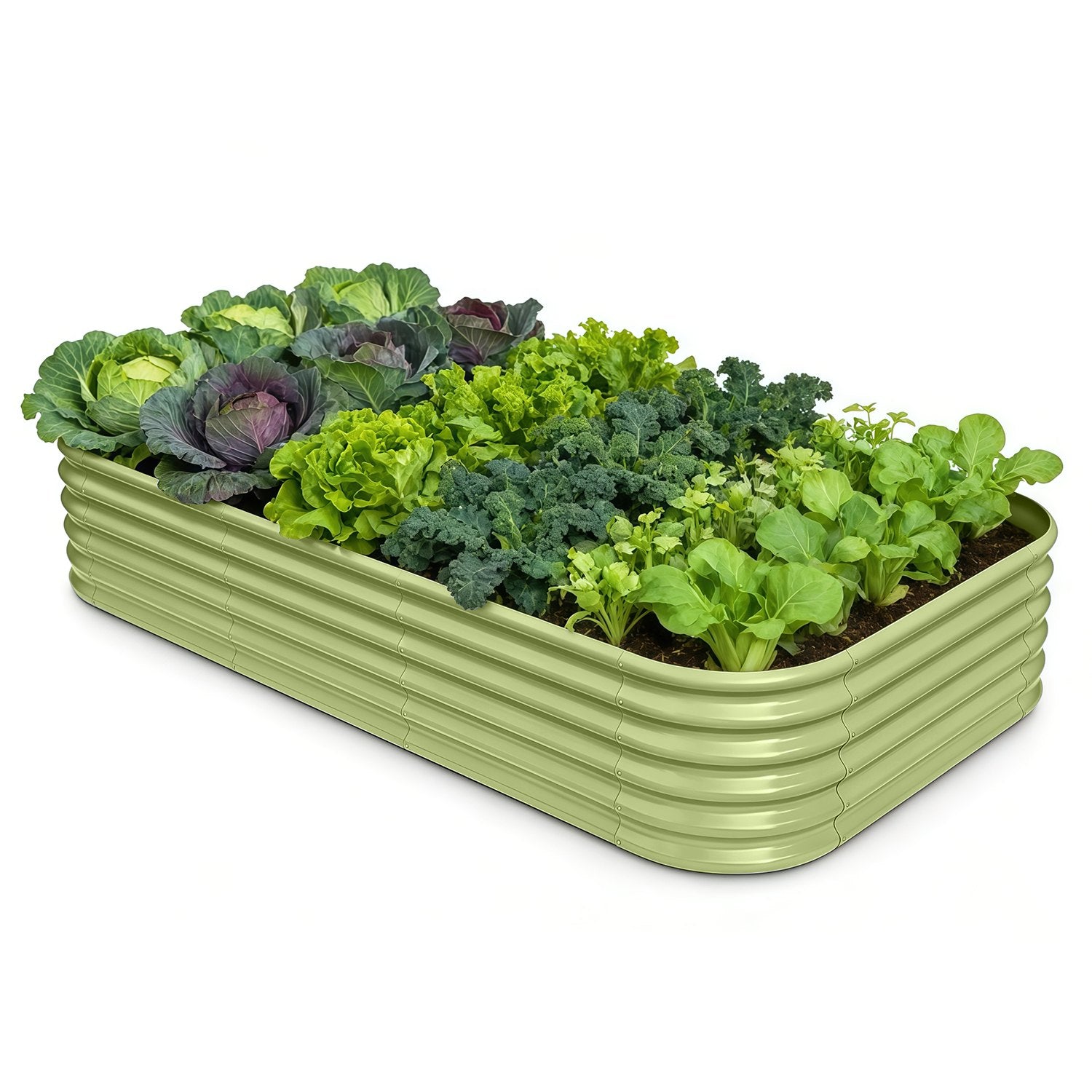 Green raised garden bed with various leafy plants on a white background