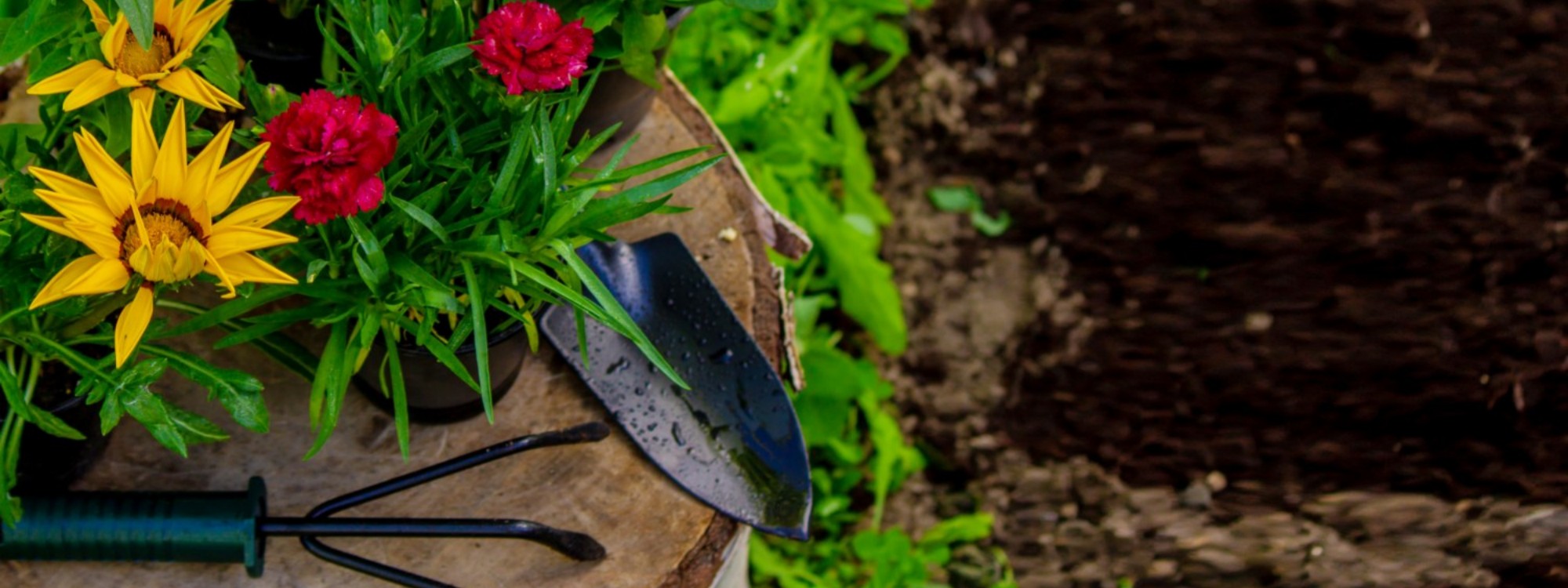 Wood vs. Metal Raised Garden Beds-Choosing the Material That Actually Fits Your Garden