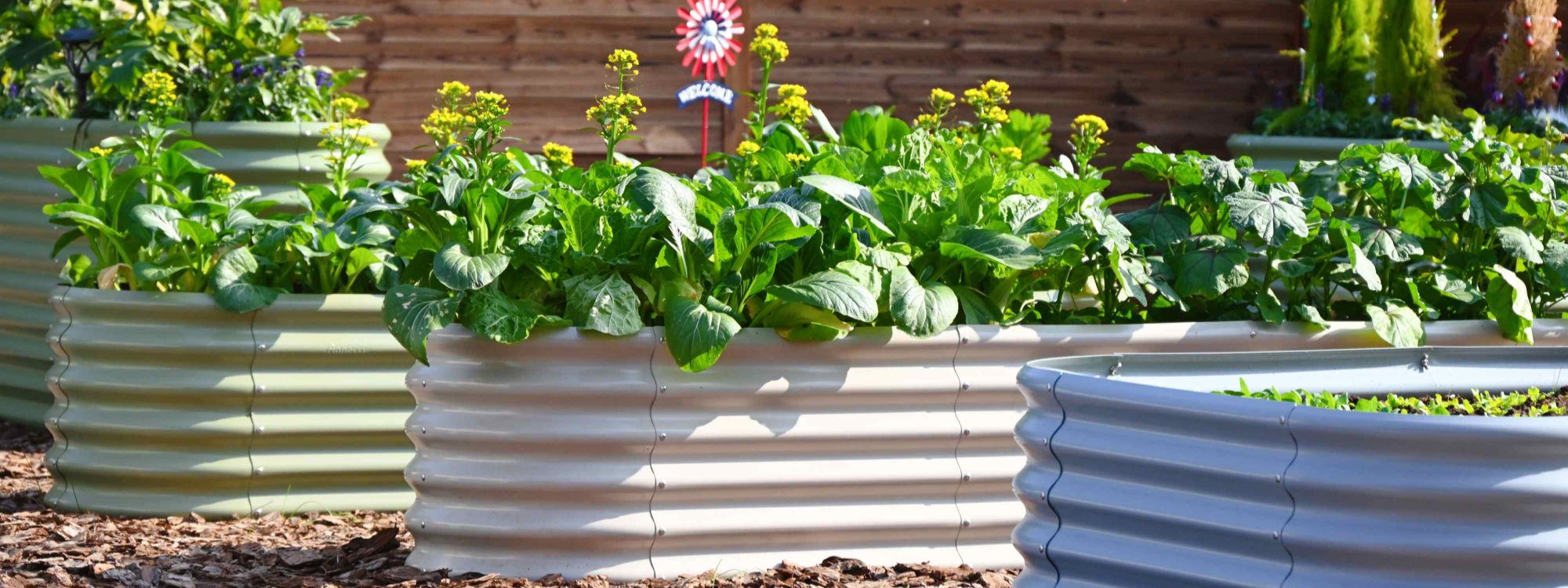 Raised Bed Garden Planning: Size, Height, and Layout — Explained Simply