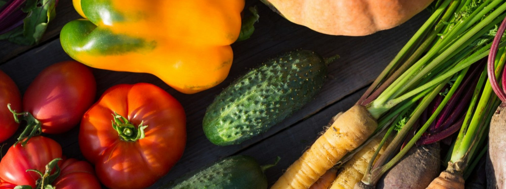 Beyond Bigger: Design a Garden That Actually Serves Your Lifestyle