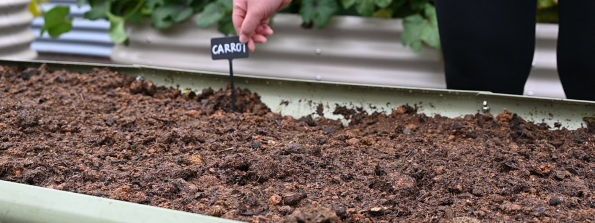 How to Fill a Raised Garden Bed Without Buying Tons of Soil
