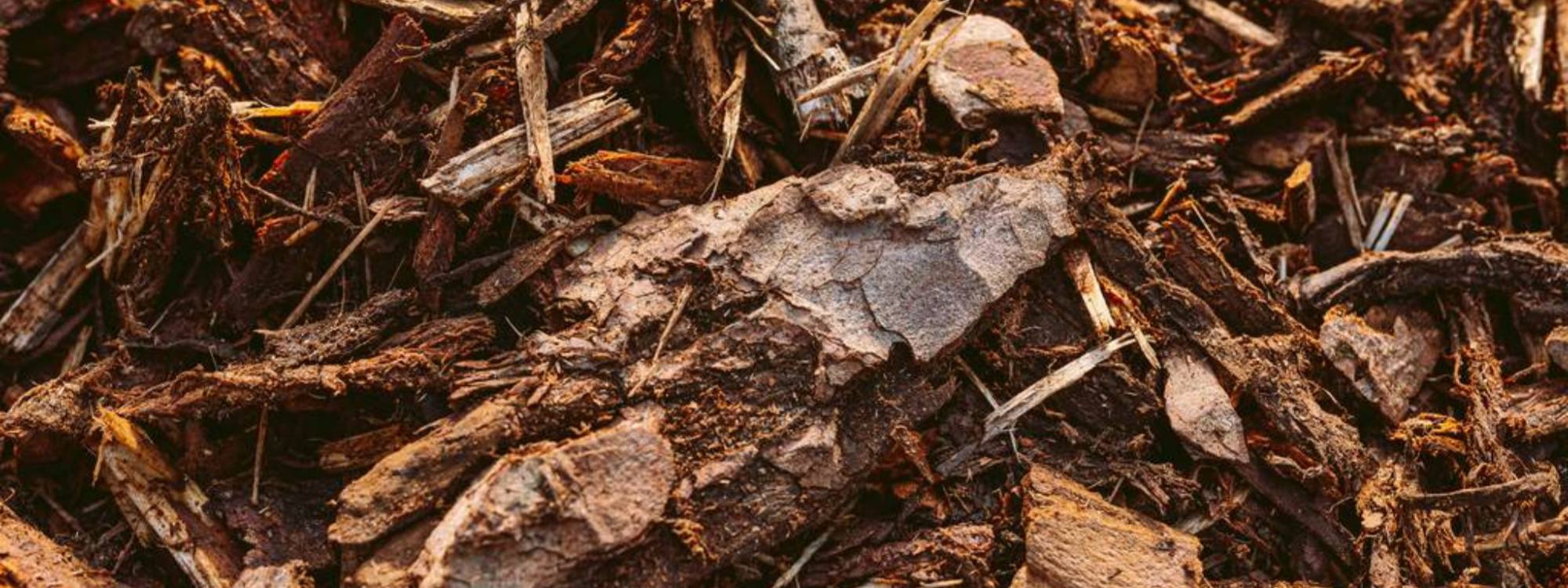 How to Prevent Weeds in Raised Garden Beds (Simple, Low-Maintenance Methods That Actually Work)