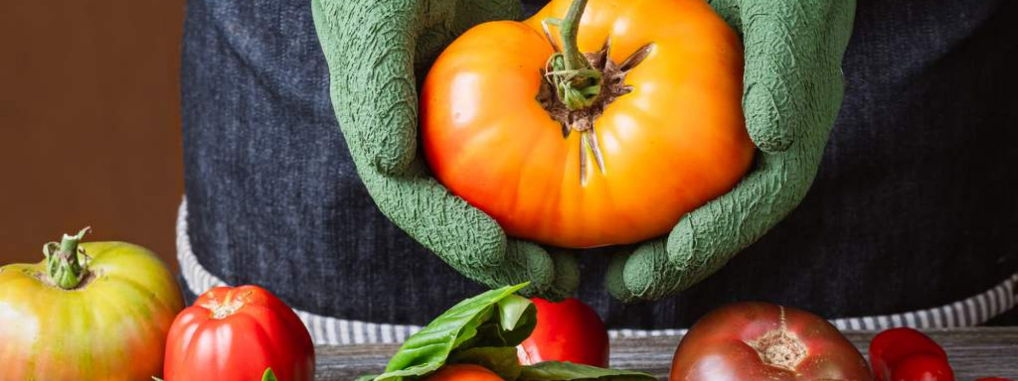 How to Start a Veggie Patch: A Real Beginner's Guide