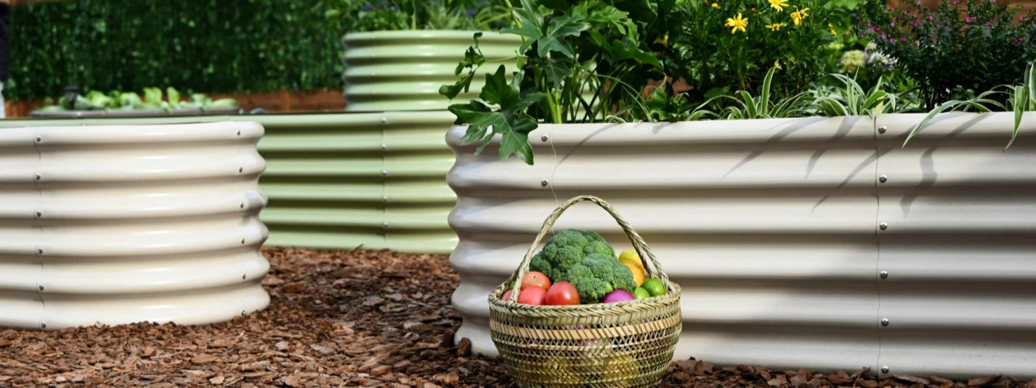 Metal Raised Garden Beds: The Ultimate Guide to Materials and Durability