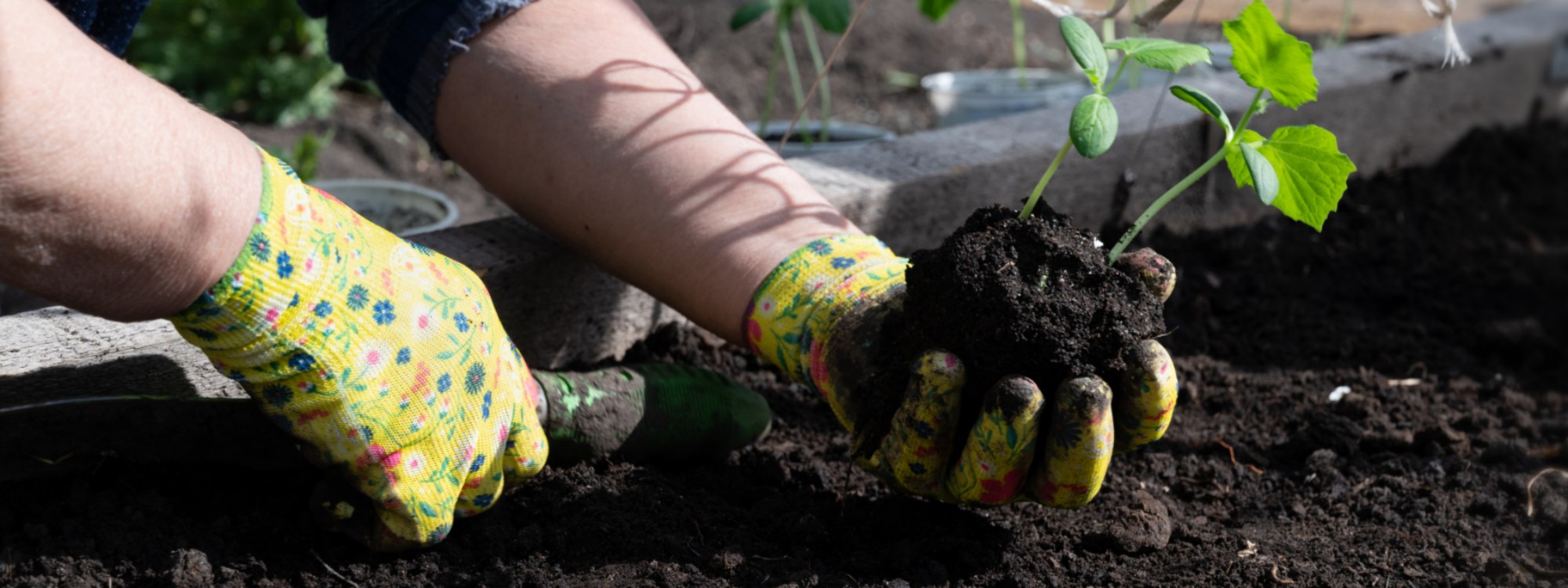 Spring Garden Bed Reset: 5 Simple, Soil-Friendly Steps