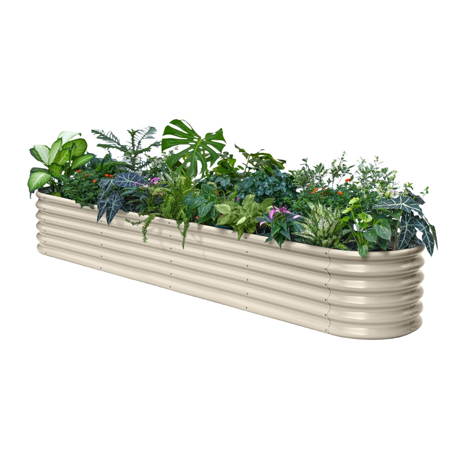 Beige metal planter box with assorted plants on a white background