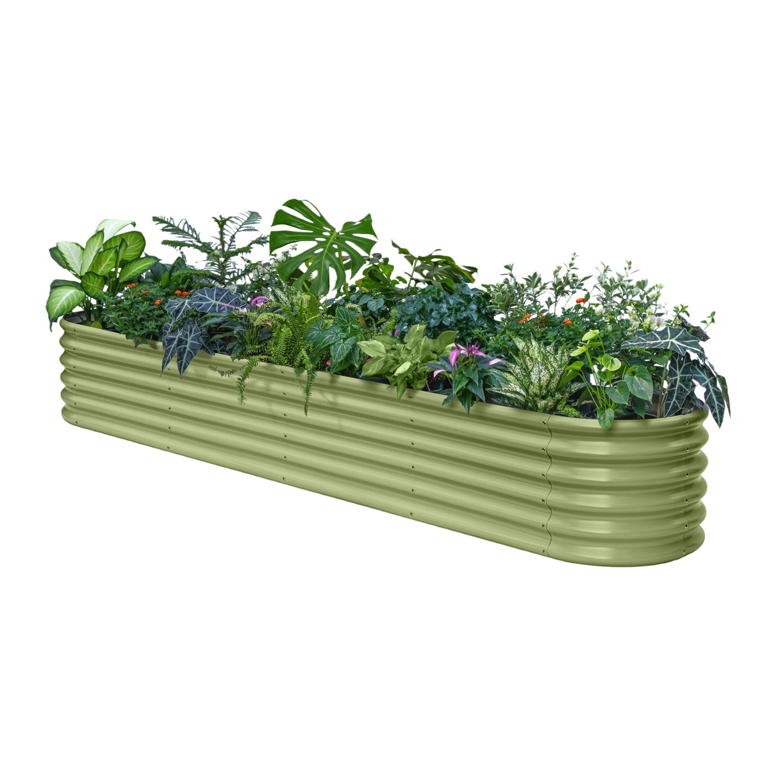 Green metal raised garden bed with plants on a white background
