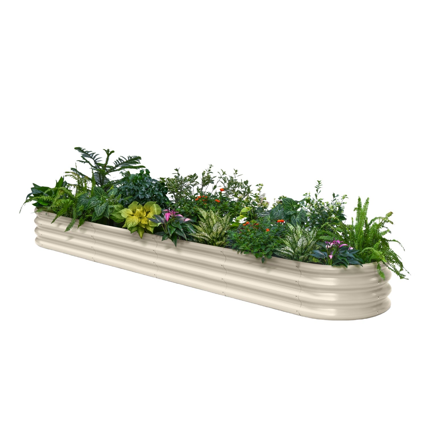 Rectangular metal planter with green plants on a white background