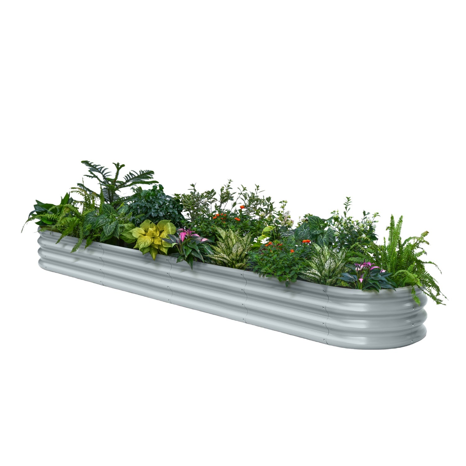 Metal garden bed with plants on a white background