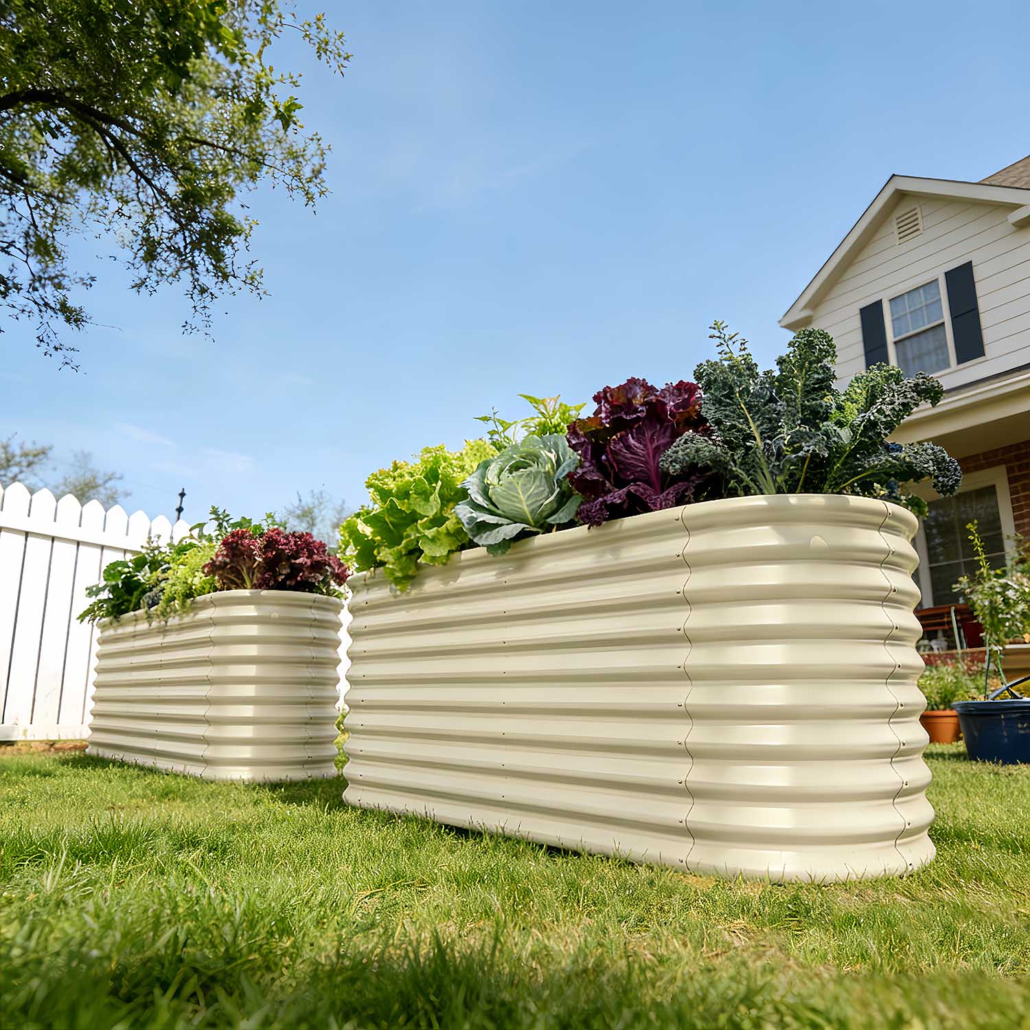 Two 30-inch tall galvanized raised garden beds placed side by side in a backyard, showing their elevated height