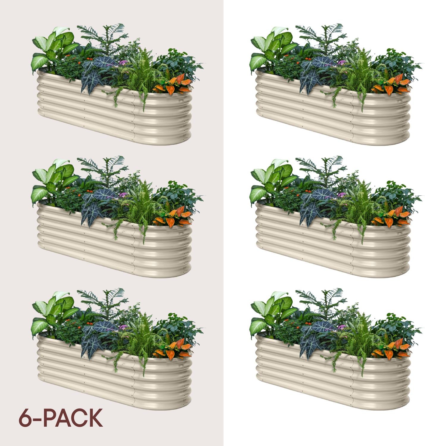 6-pack 18" Tall 6x2x1.5 ft Raised Garden Bed Kits