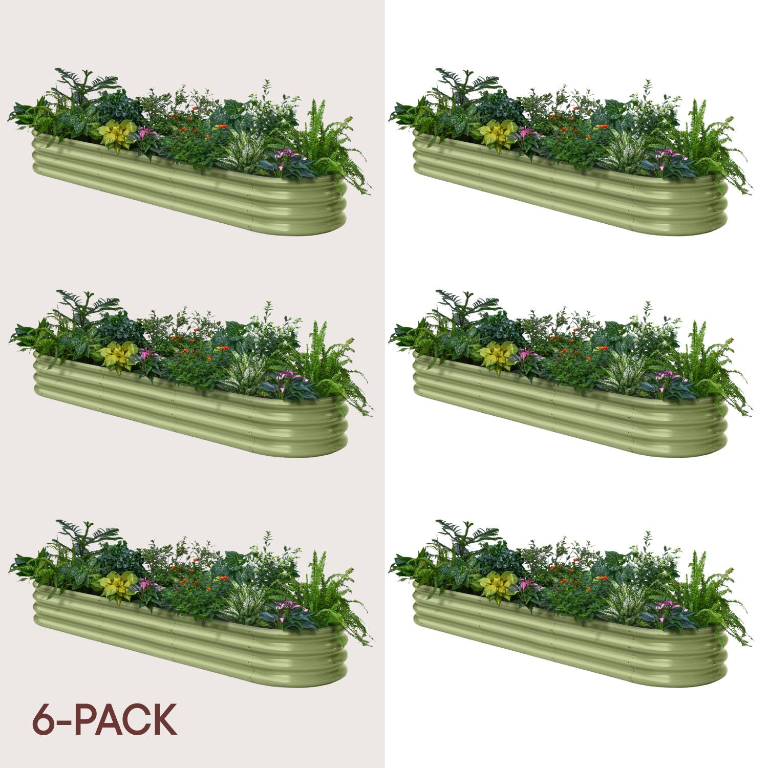 6-pack 12" Tall 8x2x1 ft Raised Garden Bed Kits