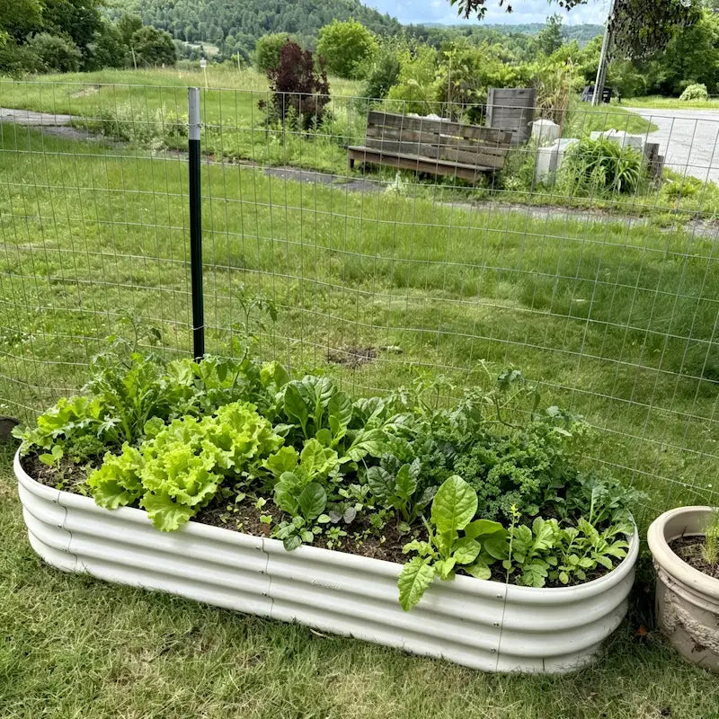 Annoell 12" Tall 6x2x1 ft Modular Raised Garden Bed