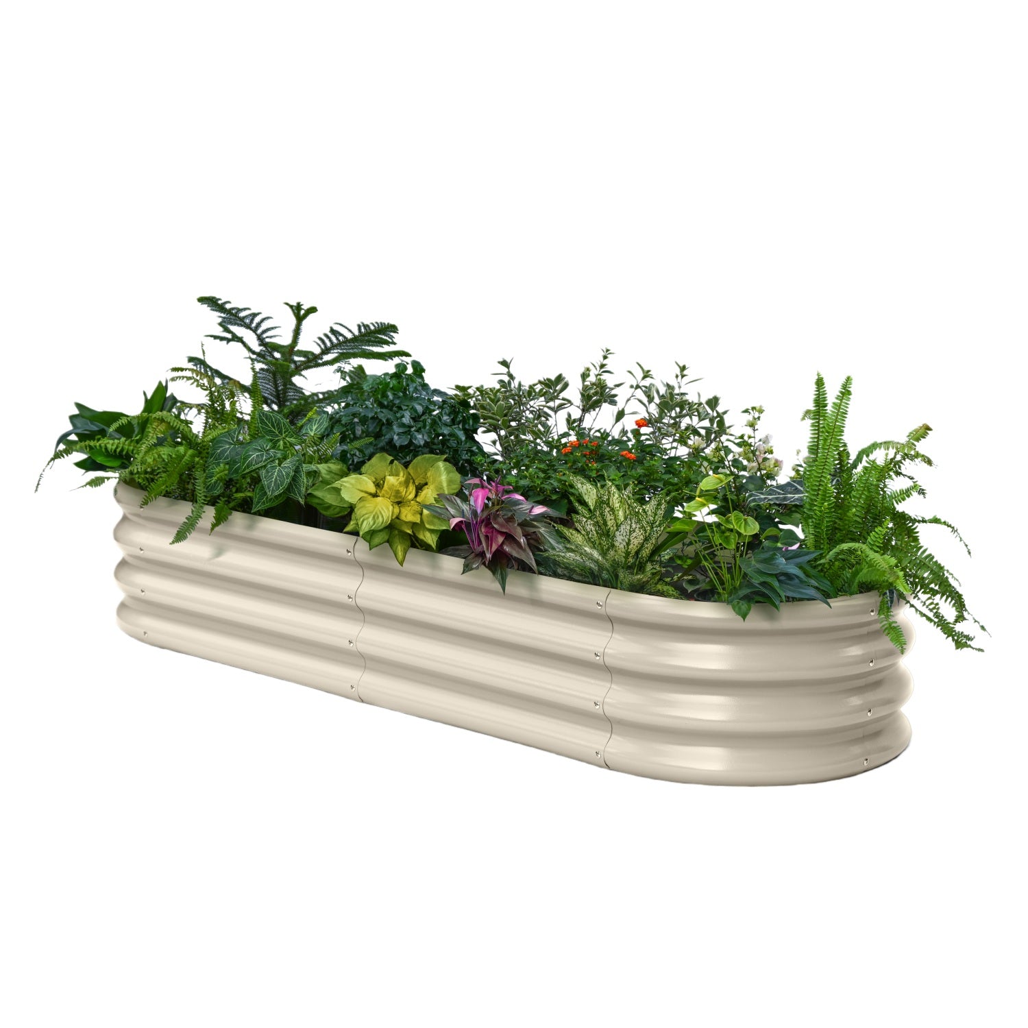 Decorative planter box with assorted plants on a white background