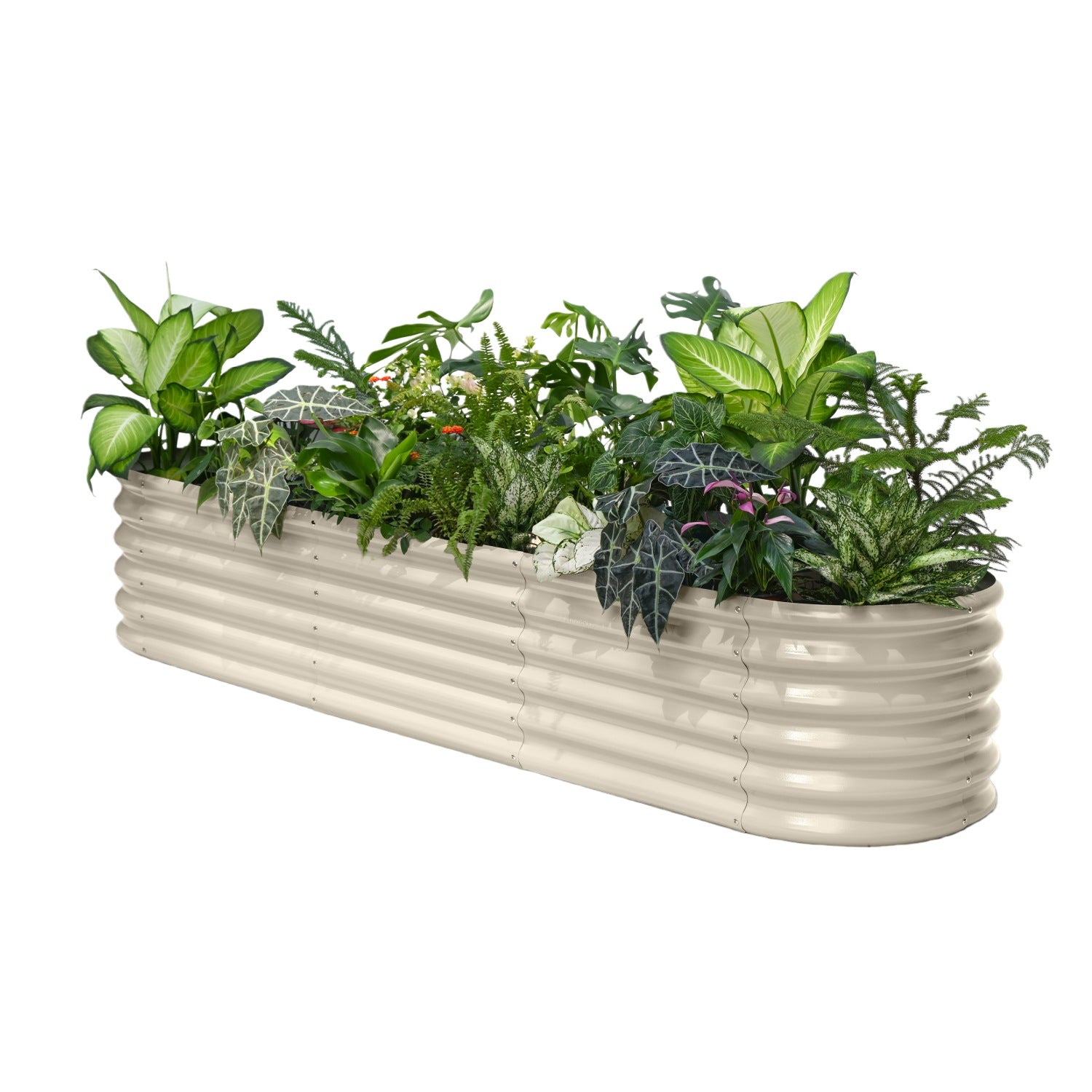 Rectangular metal planter with lush green plants on a white background