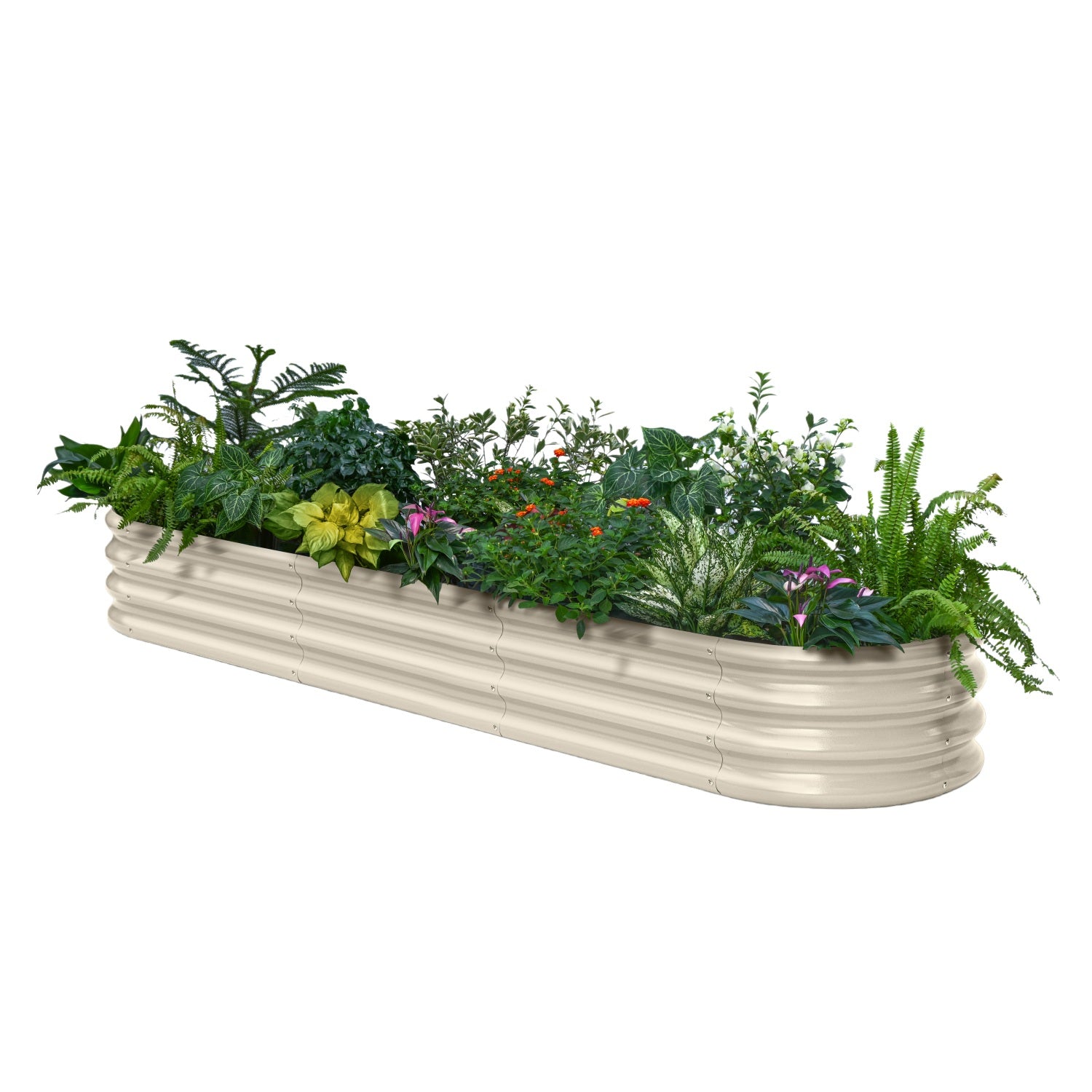 Metal planter box with assorted plants on a white background
