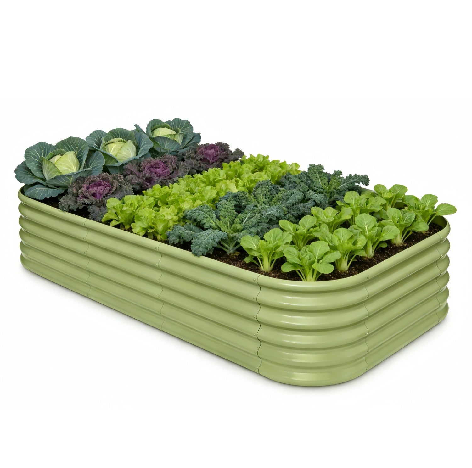 Green raised garden bed with various leafy plants on a white background