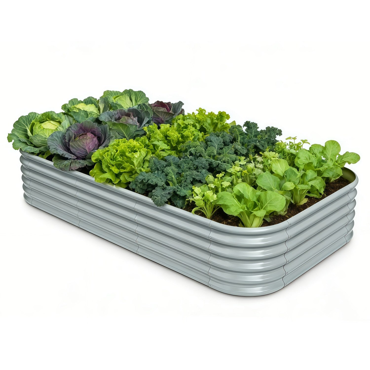 Metal raised garden bed with leafy greens on a white background