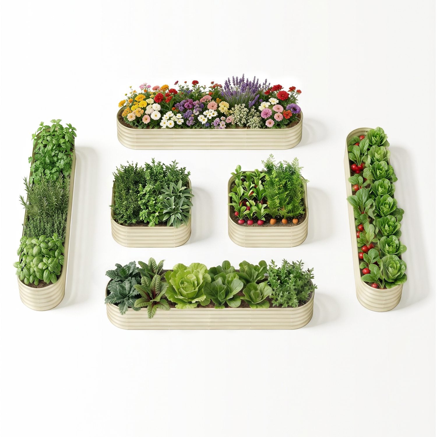 New Home Garden Layout – 18