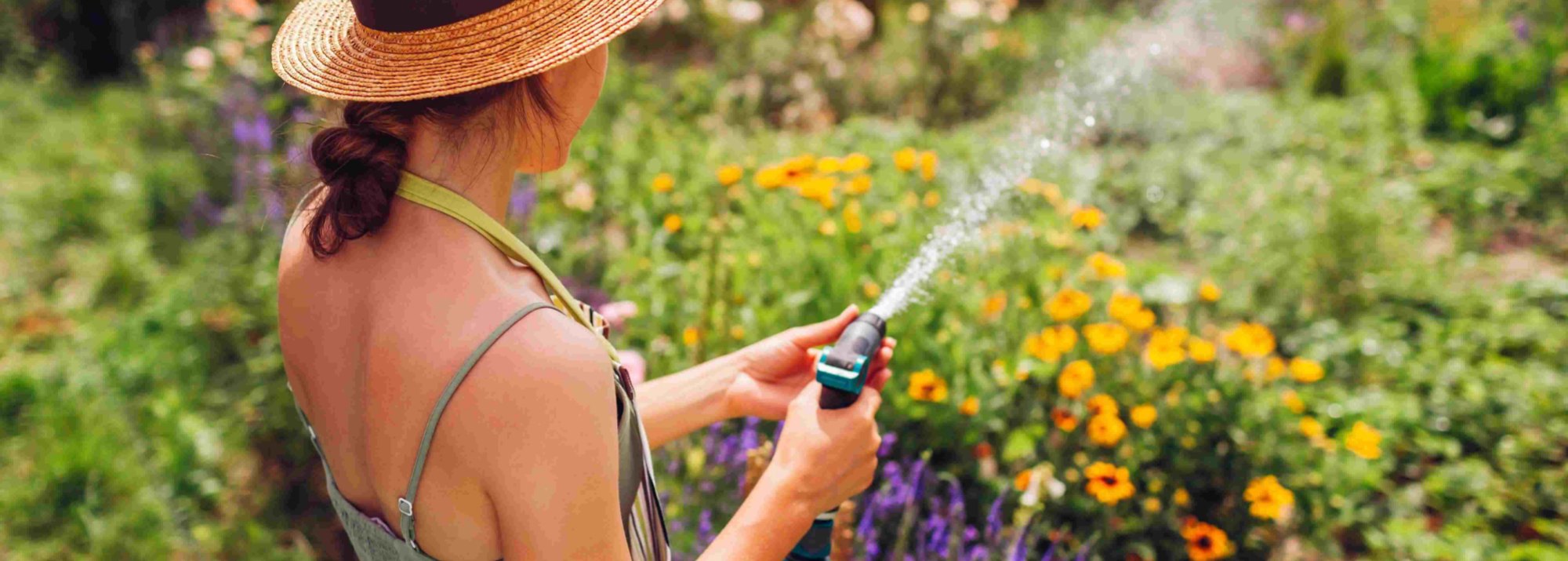 Woman watering flowers in a garden